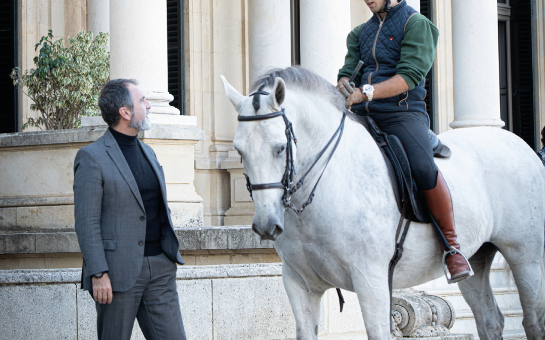 La belleza del caballo español vive en un lugar hermoso de Jerez. Real Escuela Andaluza de Arte Ecuestre