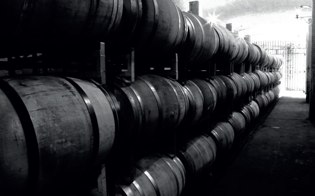 Los hijos del vino