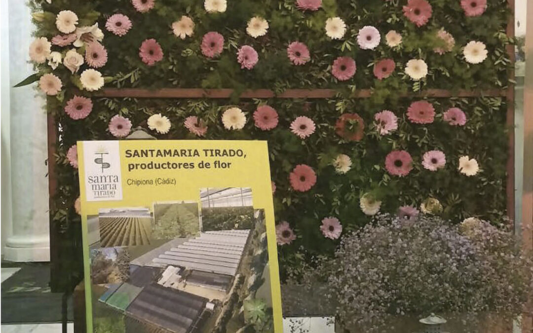 SANTAMARÍA TIRADO. Donde nacen las flores