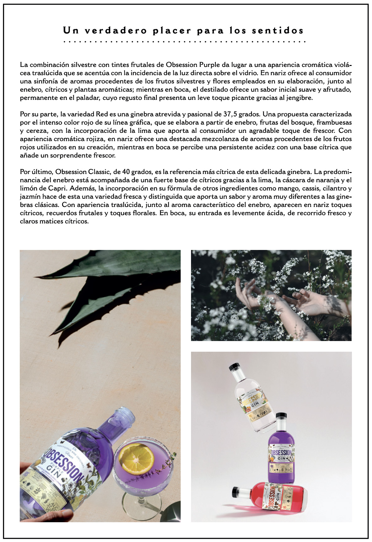 Obsession Purple, la innovadora Ginebra con base de mora, flor de sauco y jengibre de Andalusí Beverages