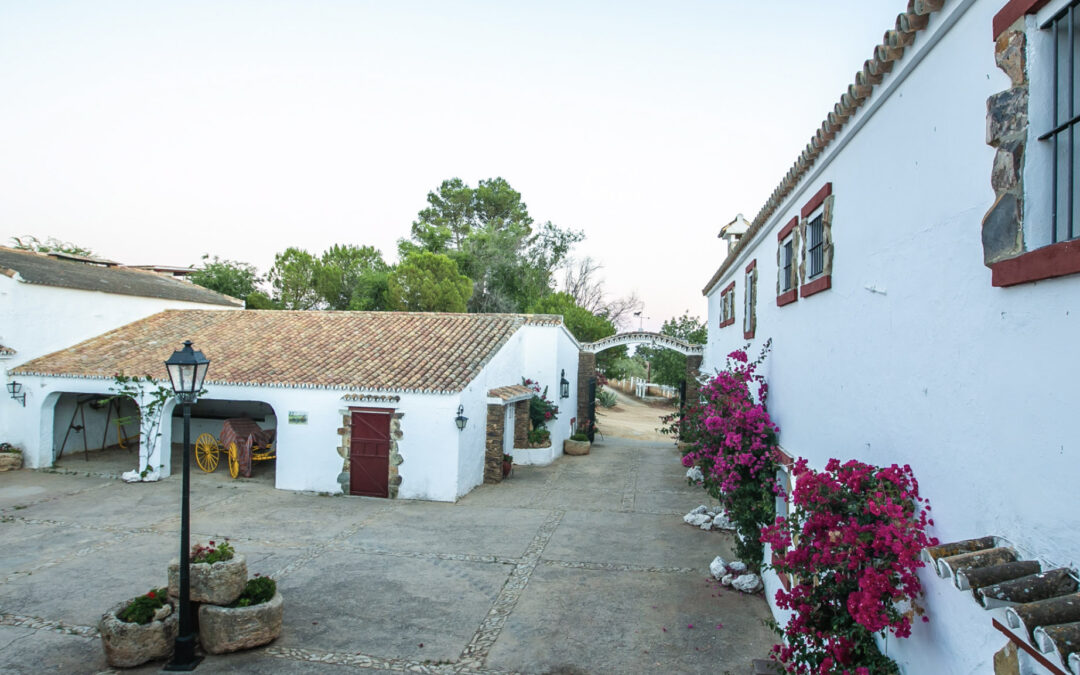 ABAURRE Y BORES EN DEHESA LA CALERA