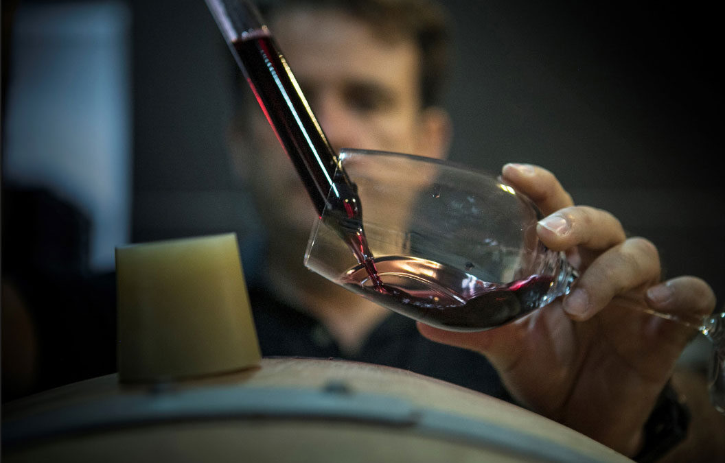 PAGO LOS BALANCINES, excelencia y calidad del mejor vino