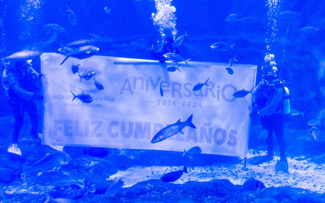 X ANIVERSARIO DEL ACUARIO DE SEVILLA