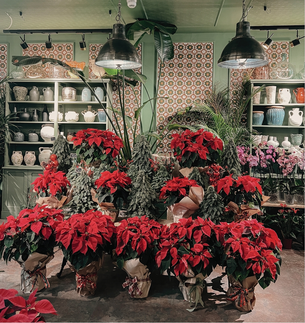 Captura de pantalla_20-12-2025_135754_